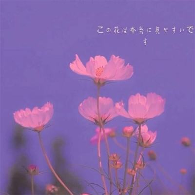 失落卷轴手游官方版(暂未上线)v1.0 安卓最新版
