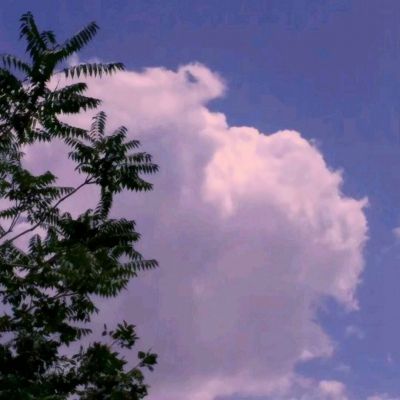 无敌战舰手游下载